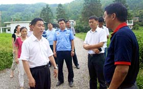 �º����������ɫ����͹����´彨��