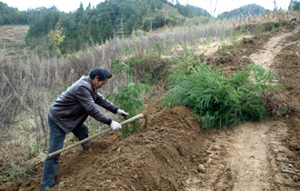 ��ˮ���ũ�������չֲ�����֣�ͼ��